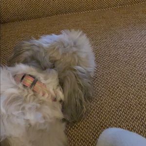 Meet your Posher, Courtney